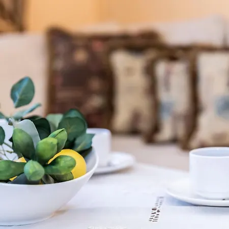 Prestige Ii * 자코파네